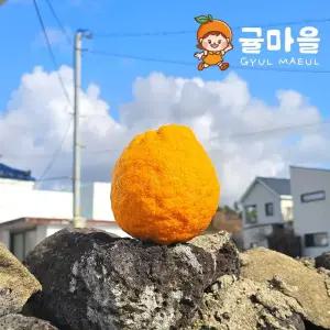 귤마을 제주 토종 댕유자 댕유지 9kg 혼합과