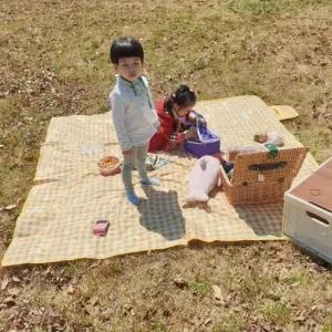 고품질 대형 방수 피크닉 매트 노란 체크무늬 야외용 캠핑 (WFKG122)