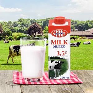 믈레코비타 3.5% 수입멸균우유 250ML 24개