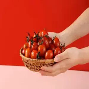 건달마토 고당도 스테비아 토마토 로얄대과(1~2번과) 500g x2팩[1kg]