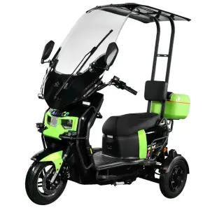 지붕 있는 오뚝이 삼륜 전동스쿠터 세발 전동 오토바이 듀얼모터 탈부착 배