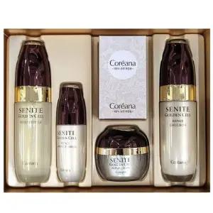 bns 세월에 흔들린 피부 황금빛으로 리페어 여성 4종세트 WFLRNLM