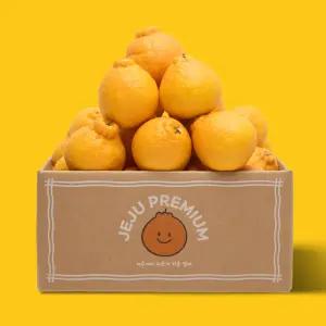 더모닝제주 한라봉 1.8kg 2.5kg, 4.5kg 가정용 설날 명절 선물세트