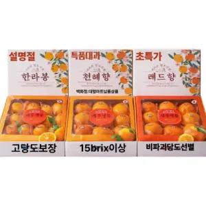 {설명절 빅행사}제주의선물세트5~3kg 특대과 레드향 천혜향 한라봉*비파괴당도선별*고당도보장 (천혜향특대과3kg8~12과