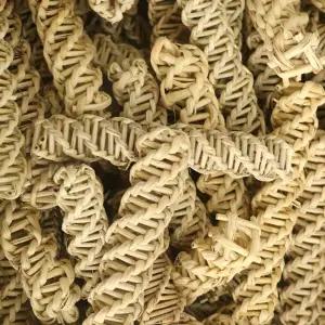 [애니몰파크]꽈배기 등나무 10P 앵무새 장난감 놀이 용품