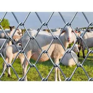 농장 과수원 철망 고라니 울타리 휀스 지주대 보호 펜스
