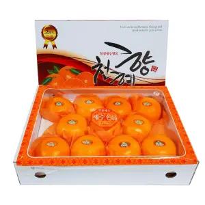 정성담은 제주 천혜향 선물세트 3kg 8-10입