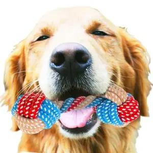 애견 물기놀이 치발기 씹는놀이 치아 강아지장난감 WD3AFF7