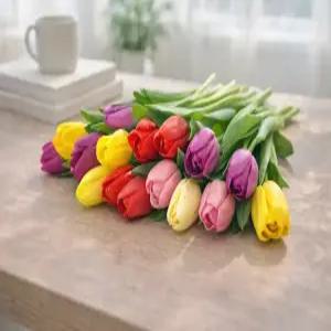 꽃 생화 튤립 꽃다발 택배 정기구독 랜덤색상 실내 인테리어 테이블 승진