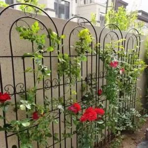 오벨리스크 넝쿨 지지대 가든 울타리펜스 직경 장미 주택