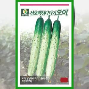 [파머씨드]오이 씨앗 선호 백침 다다기 500립 채소 종자 야채 텃밭