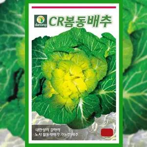 [파머씨드]배추 씨앗 cr 봄동 500g 김장 종자 채소 야채 텃밭 키우기