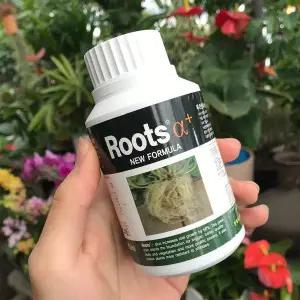 루츠알파 플러스 식물영양제 뿌리촉진제 성장촉진 발아 발근제