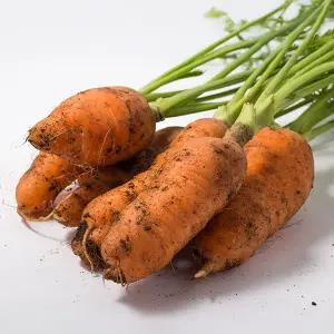 [자연맛남]국내산 흙 당근 5kg(주스용)