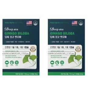 동신헬스케어 딥씨 징코 빌로바 750mg x 60캡슐 1+1 총120캡슐 기억력 혈행개 선 은행잎 비타민 아연
