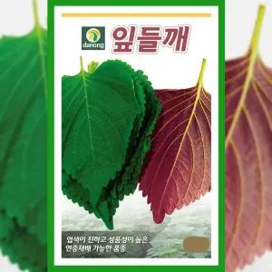 [파머씨드]깻잎 씨앗 잎들깨 25g 종자 쌈채소 파종 작물 채소씨