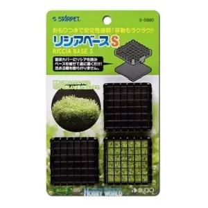 리시아를 기를수 있는 모스베이스어항수초기르기 키우기 수족관키우기 활착판 기르기