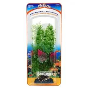 곽조화 색감이 부드러운 스톤워트 24cm어항수초장식 열대어 워트