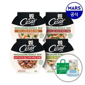 시저 홀썸볼 10개골라담기+아이엠즈쇼핑백+배변패드+베베숲물티슈