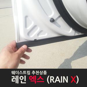 흙탕물을 막아 주고 도어하단 풍절음과 먼지 레인엑스 플러스 웨더스트립 최강자
