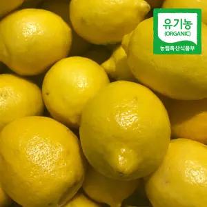 유기농 신선한 제주 레몬 3kg