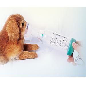 에어로졸 챔버 강아지 고양이 천식 호흡기 흡입기 치료기