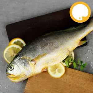 부세 조기 3.4kg (500/700) 6마리 제수용 제사용 생선구이