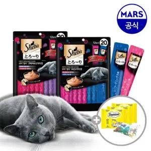 쉬바 멜티 2가지맛 12gx40p 골라담기+캣닢쿠션+템테이션12gx3팩