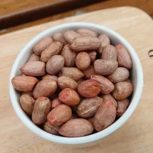 2025년산 햇땅콩 국내산 땅콩 생땅콩 3kg 생알땅콩