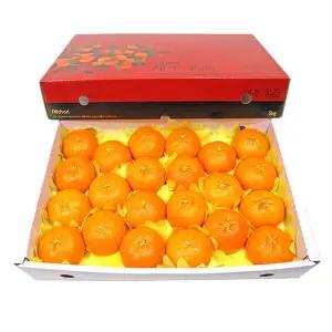 제주 레드향(특대) 5kg(17~23과)