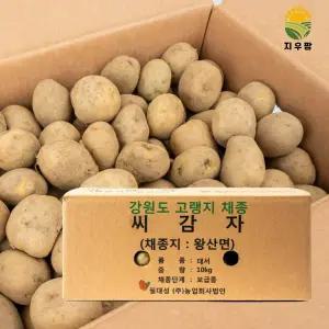 강원도 정품 씨감자 보급종 두백 10kg 주말농장 감자씨