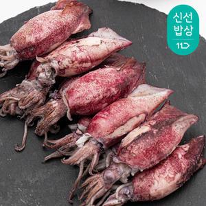 @한입! 자연산 통찜용 한치1kg(중)30-40미