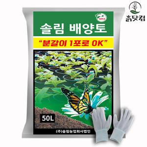 흙닷컴 솔림 배양토 대용량 50L 화분 분갈이 흙 장갑