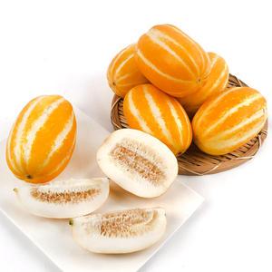 꿀맛 성주 참외 가정용 5kg 실중량