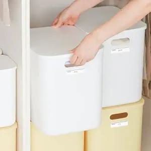 [네이쳐리빙][네임택증정]모노블 팬트리 수납 정리함 리빙박스(XL)2P