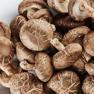 [품질보장]무안 GAP인증 무농약 생표고버섯 하품 1kg