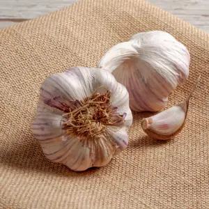 황토밭에서 자란 서산 통마늘 1kg 대서마늘