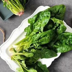 해풍맞고 자란 비금도 국내산 시금치 비금섬초 1kg & 2kg