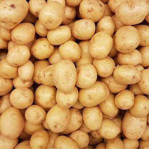 국내산 실속형 수미감자 중 3kg