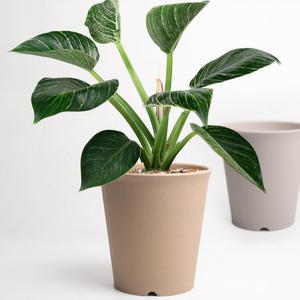 합 중형 깔끔 라운드 베이직 원형 목분 화분 받침대 1세트