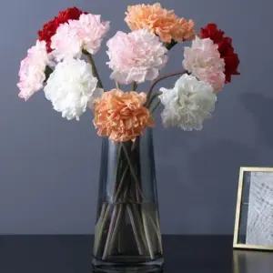 가정의달 생화같은 카네이션 어버이날 스승의날 시들 (WFHNZ2Q)