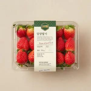 담양 딸기 750g 팩