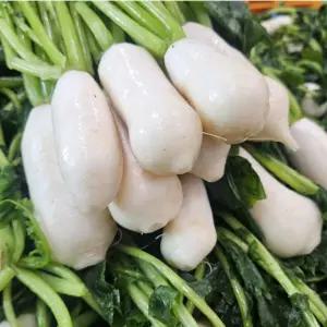 김재모 알타리절임 초롱무절임 총각김치준비끝 손질완료 세척완료 5kg,10kg