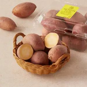 한입 호박고구마 500g (6~10입)