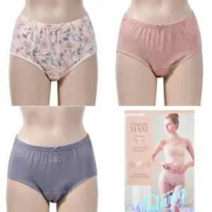 4중 흡수층 쾌적하게 착용이 가능한 요실금 에티켓 팬티 3매입/여성/언더/웨어/생리/단색/중년/위생/아줌마