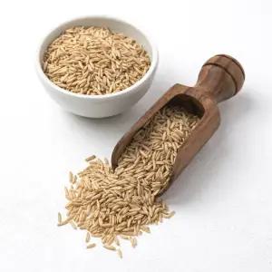 캐나다산 귀리 10kg (5kg+5kg) 오트 잡곡-[정성든농수산]