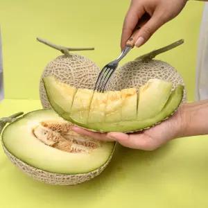 달콤한 머스크멜론 신선한 당도선별 맛있는 3kg