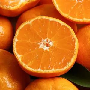 제주산 타이벡감귤 4.5kg 2S소과 새콤달콤한 맛있는 타이백 감귤