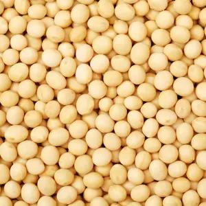 백태 4.5kg 수입콩미국산 수입산 원적외선 빛살균 살균한콩 백태 메주콩콩국수콩두부콩