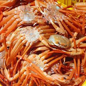 포항 구룡포 프리미엄 박달홍게 A급 3kg 9-11미 수율 80-90% (자숙)